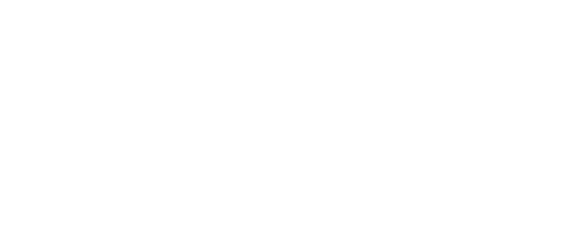 THE BAG SEQUENCE